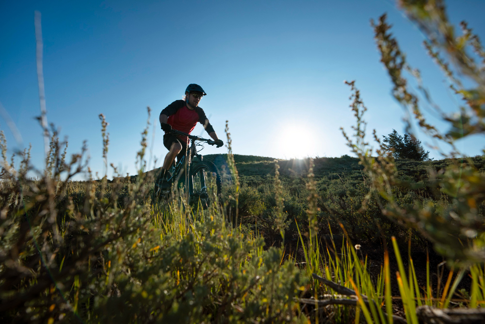 Andorra ofrece una experiencia inolvidable de ciclismo debido a la espectacularidad de sus paisajes [1] https://bikefriendly.eu [2] https://bikefriendly.eu/andorra-turisme  Hay varias rutas por carretera disponibles, así como rutas de BTT, road, gravel, enduro, familiares o trekking. [3] https://tracksbikefriendly.com/andorra/  Una de las rutas destacadas es Tracks Andorra, un itinerario de BTT de cuatro días con casi 200 km de recorrido y unos 5500 m de desnivel positivo. [4] https://tracksbikefriendly.com/tracks-andorra/ Además, existen hoteles, bike friendly y servicios de viajes y alojamientos diseñados específicamente para ciclistas que desean explorar nuevos destinos en Andorra [5] https://bikefriendly.bike/